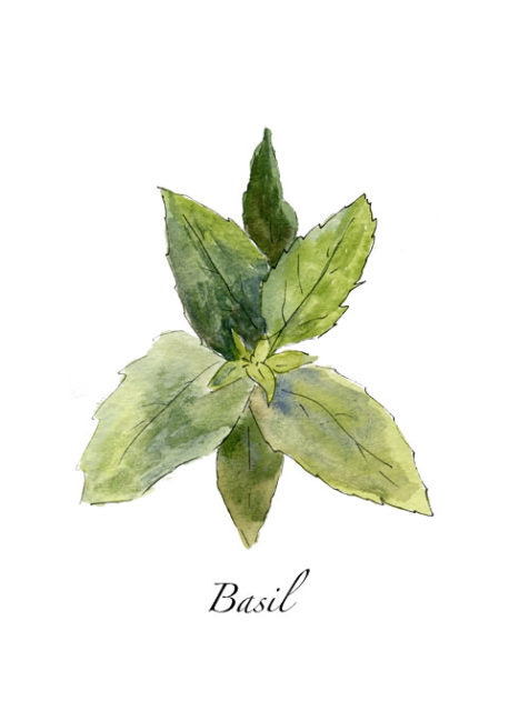 Herbal Art Prints Giveaway