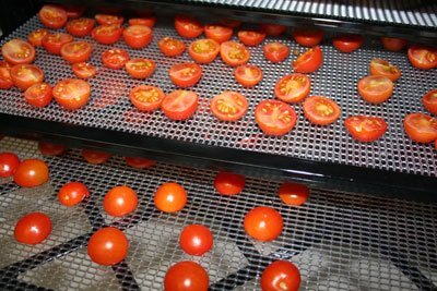 cherry tomatoes in dehydrator