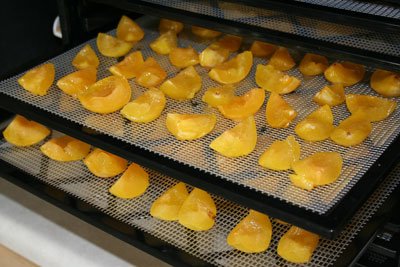 dehydrating plums