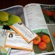 Organization in the Garden: Evaluating What You Have and What You Need