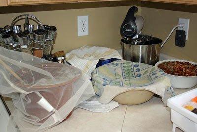 ferments-and-soaking-on-counter