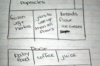 Organization in the Real Food Kitchen: Knowing and Using What's in Your Freezer