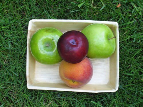 saakori-apple-tray-plate