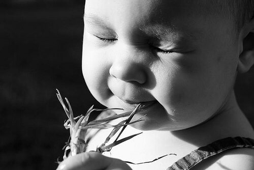 There's lots of opinions out there on what to feed babies, it's easy to get overwhelmed. Here's a casual yet common sense approach for feeding babies. 