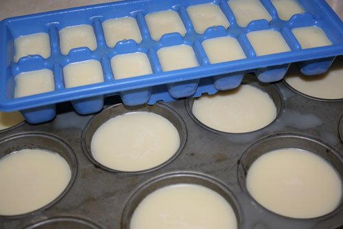 ice-cube-and-muffin-trays-with-tallow