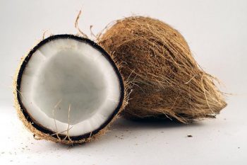 Video Blog: How to Make Coconut Milk Kefir 1