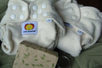1000th Post Party Giveaway: Eden Sustainable Cloth Diapering Package