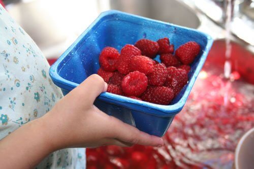 Preserving Summer’s Bounty: Freezing Raspberries and Strawberries