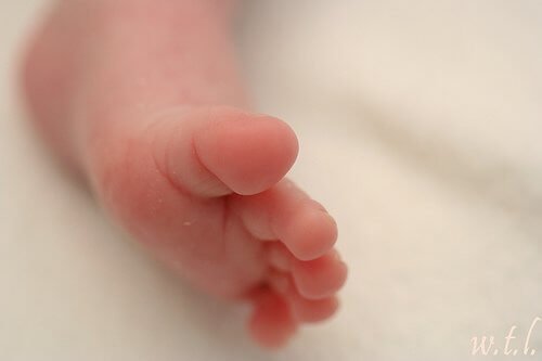 baby foot