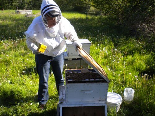 Beekeeping: A Matter of the Heart