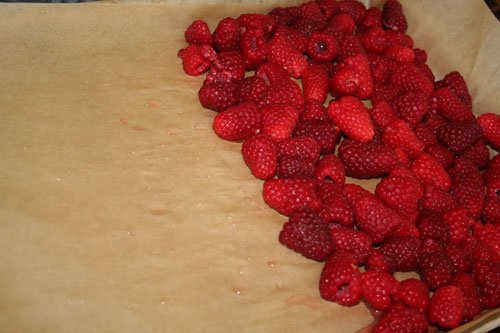 Preserving Summer’s Bounty: Freezing Raspberries and Strawberries
