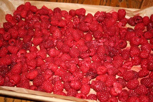 Preserving Summer’s Bounty: Freezing Raspberries and Strawberries