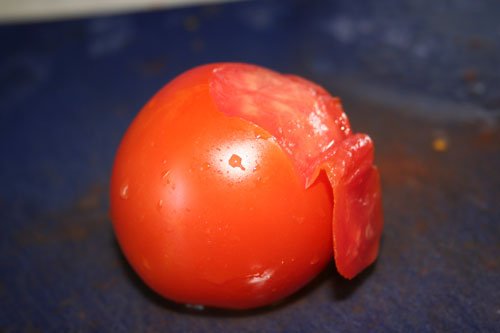 canning tomatoes close up peeling