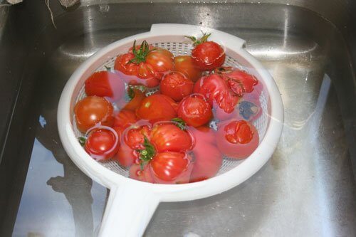 cooling canning tomatoes in sink