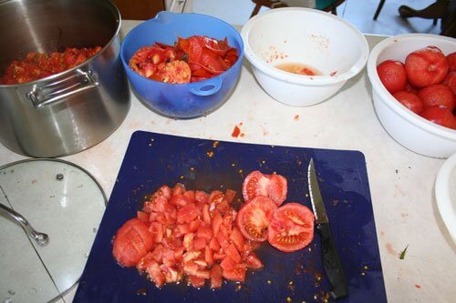 counter setup for canning tomatoes