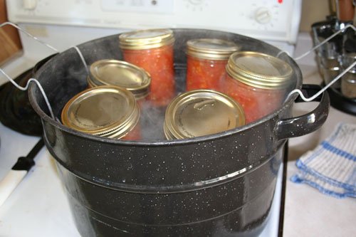 putting tomatoes in canning water