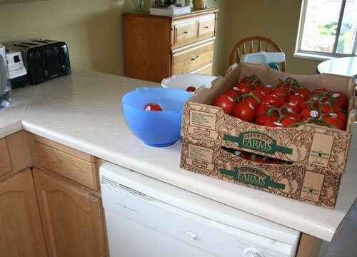 tomatoes ready on counter canning