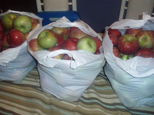 Apples in bags