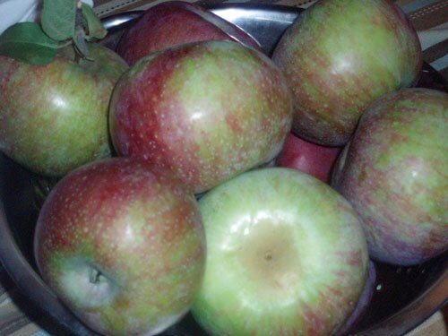 apples in colander