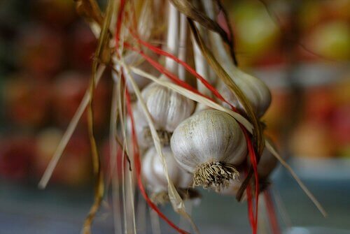 artsy garlic hanging