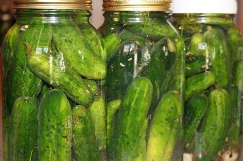 closeup large dill pickle jars