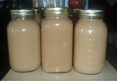 Preserving Summer’s Bounty: Making and Canning Applesauce with Kids