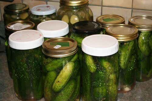 lots of pickles on counter