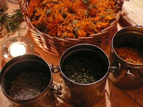 calendula rosemary and marigold