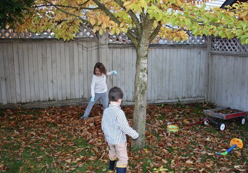 kids scooping up leaves for garlic