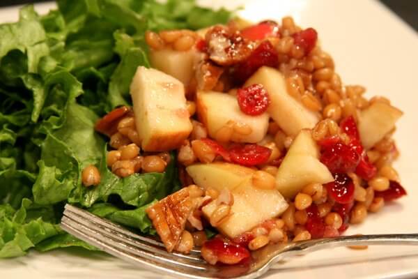 sprouted spelt salad