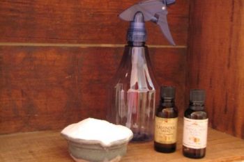 Non-Toxic Cleaners You Can Make at Home