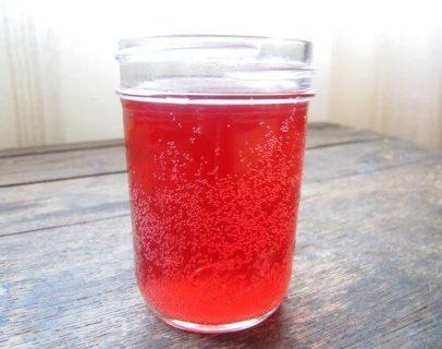 How to Make Water Kefir - Keeper of the Home