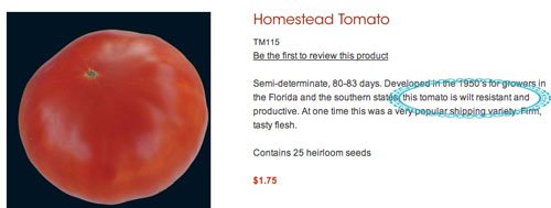 new wilt resistant tomato
