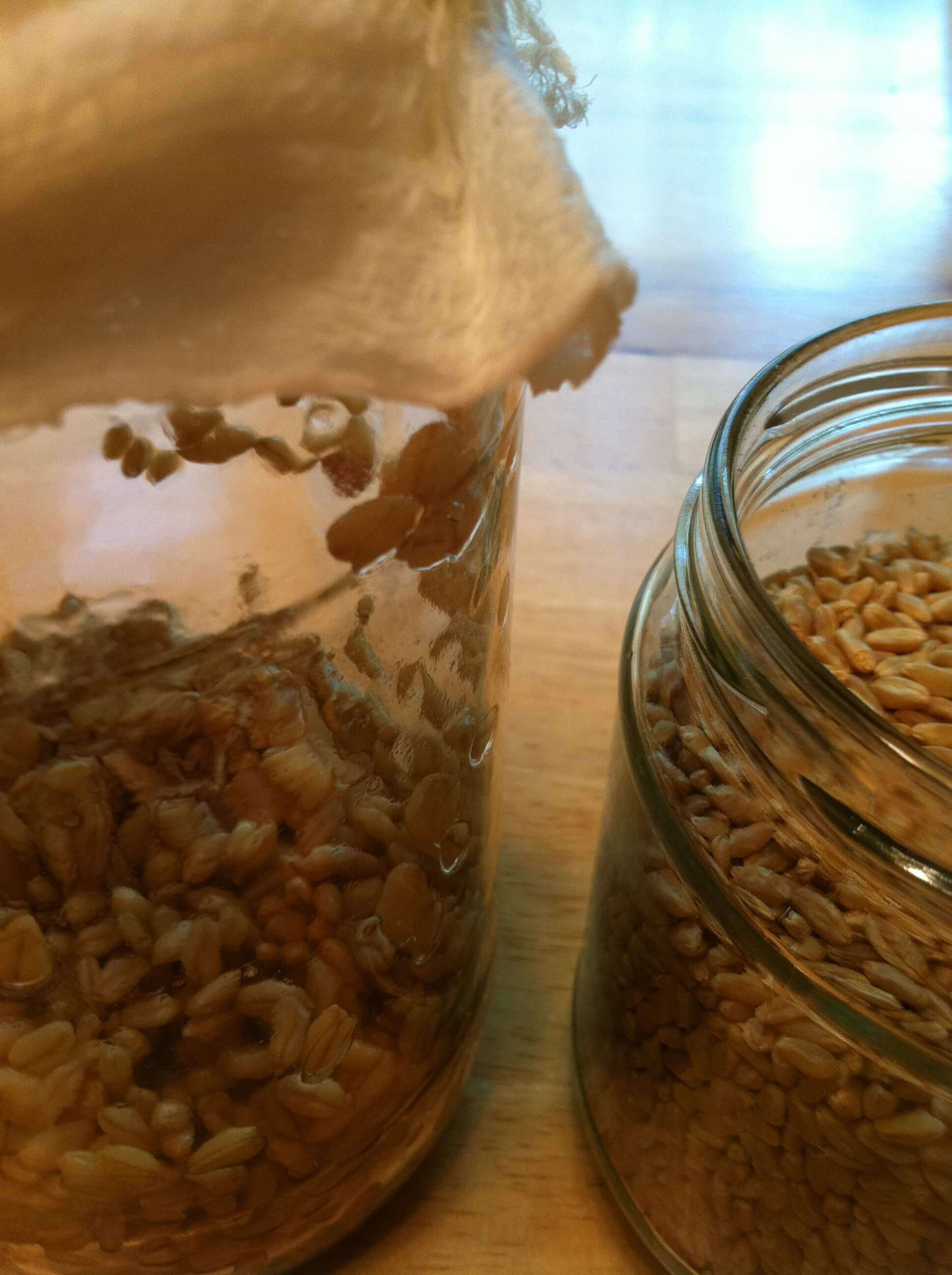 Soaking Grains