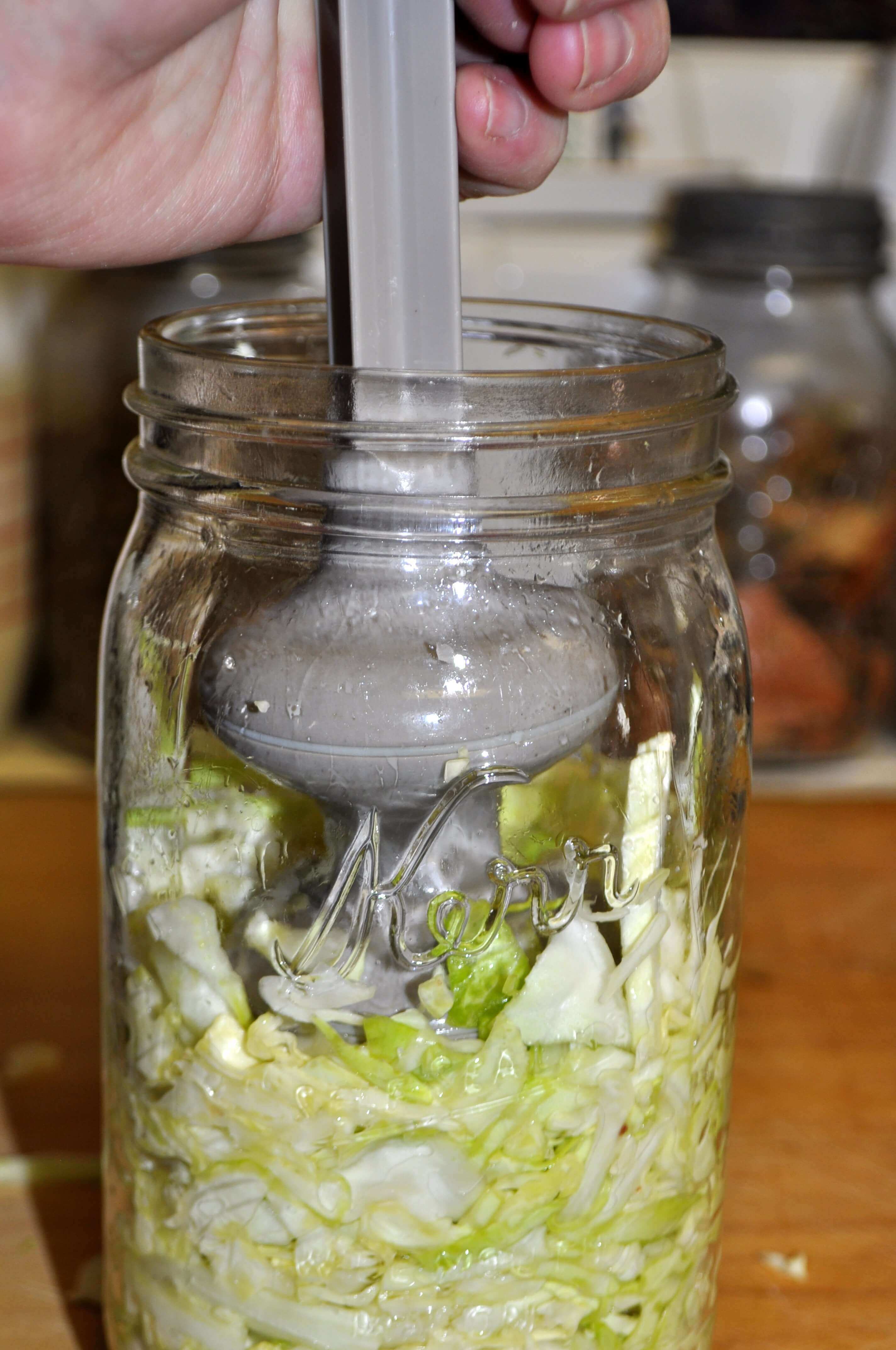 Preserving Food with the Lactic-Acid Fermentation Method: Sauerkraut Tutorial