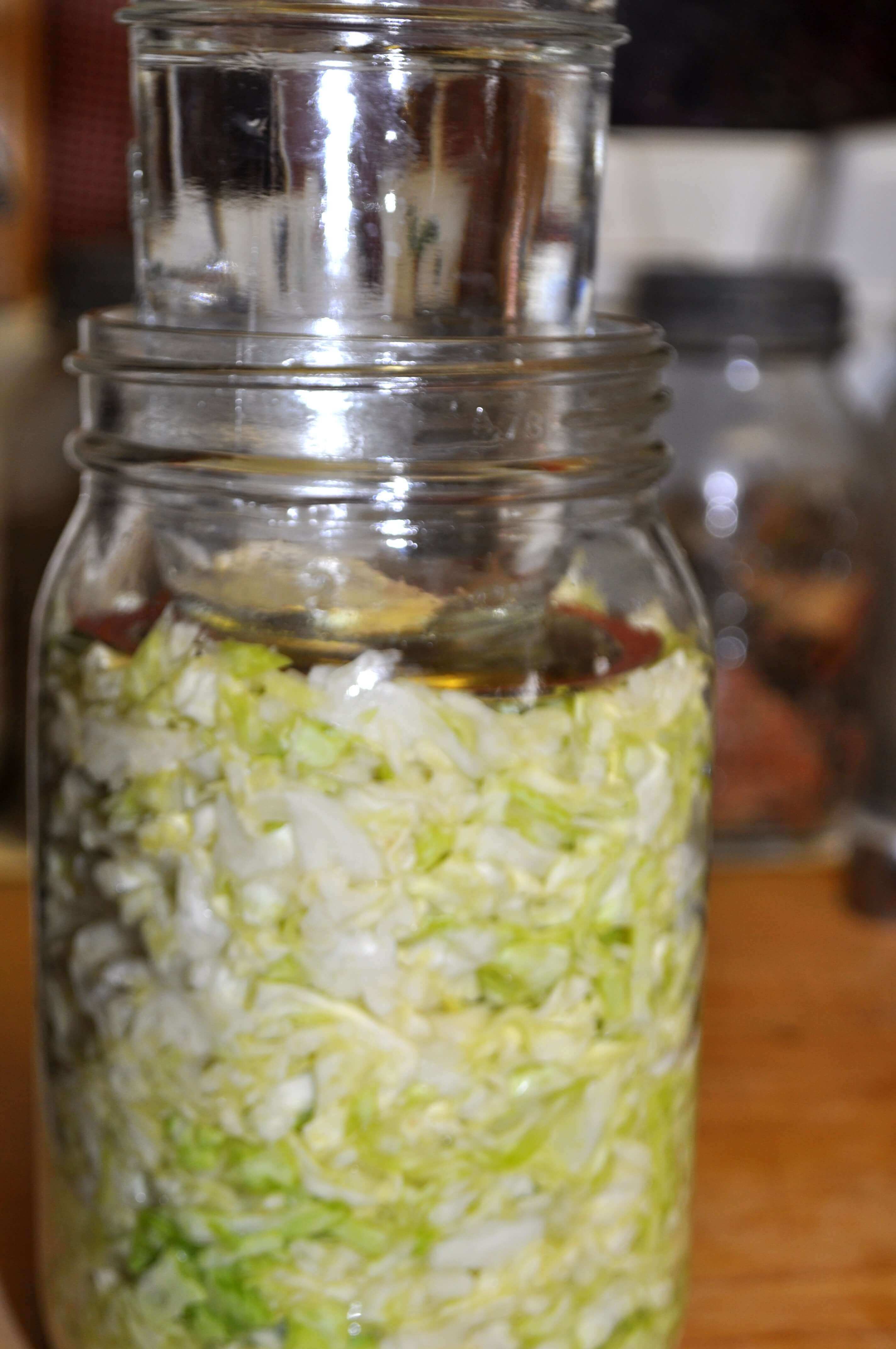 Preserving Food with the Lactic-Acid Fermentation Method: Sauerkraut Tutorial