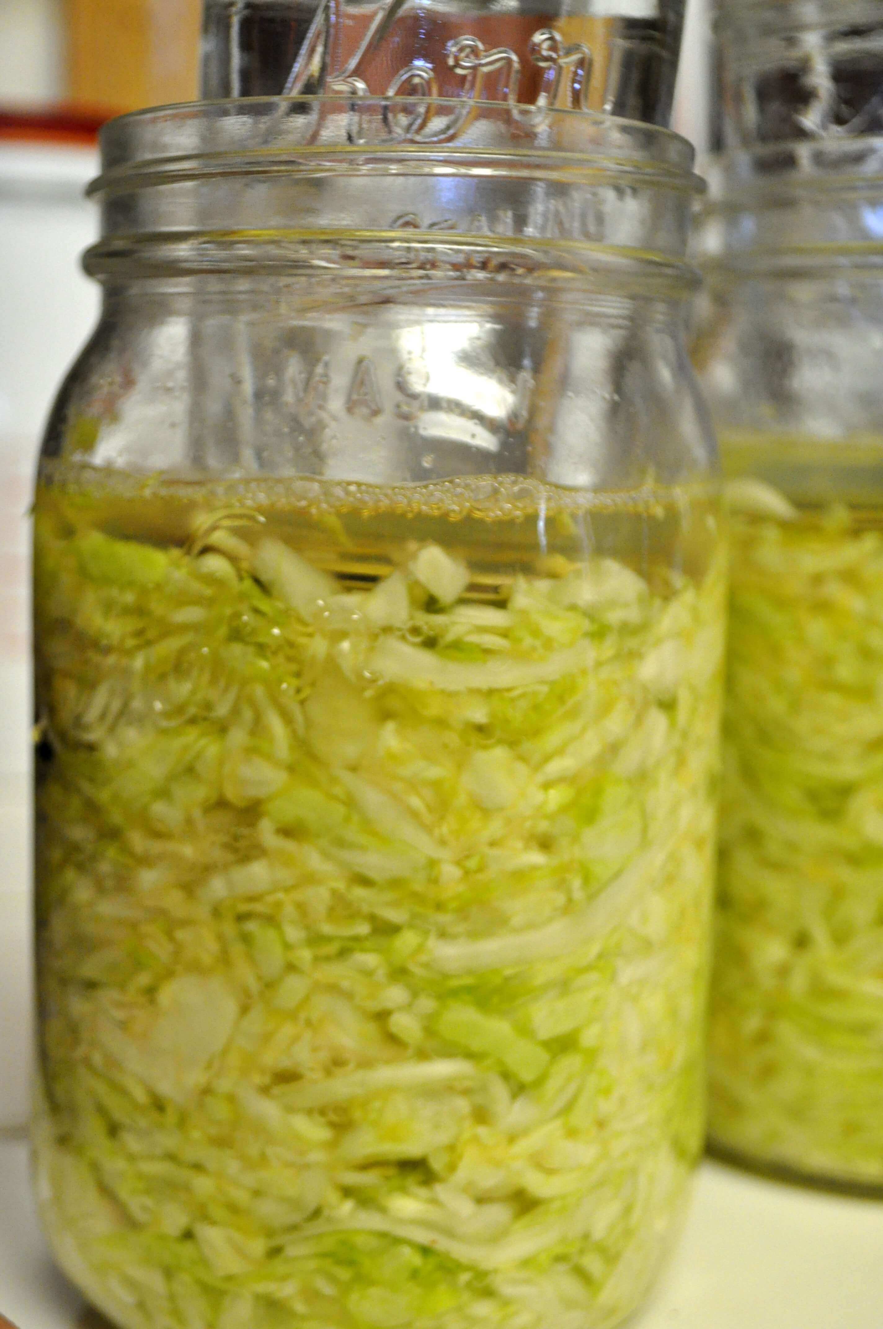 Preserving Food with the Lactic-Acid Fermentation Method: Sauerkraut Tutorial