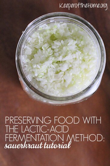 Preserving Food with the Lactic-Acid Fermentation Method- Sauerkraut Tutorial