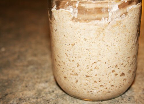 bubbly sourdough starter in jar