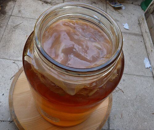 kombucha in jar