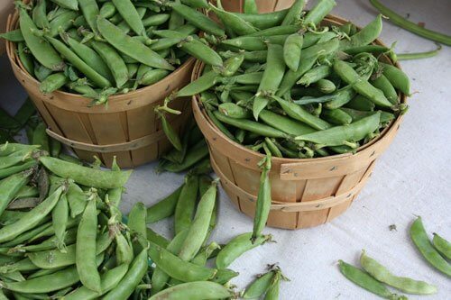 peas in baskets