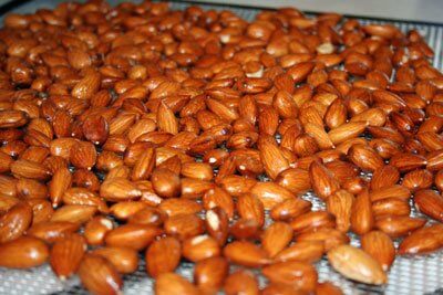 soaked almonds for dehydrator