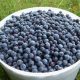 5 Ways to Use Blueberries this Season 1