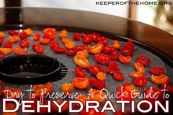 Dry to Preserve: A Quick Guide to Dehydration