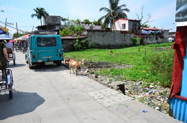 The grass on the right is marshy and soggy, as is much of the land in the town of Velenzuela