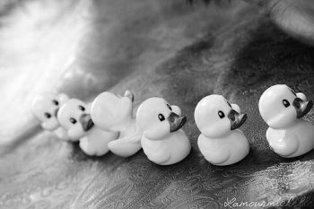 All Our Little Ducks in a Row (And Baby Makes 6)