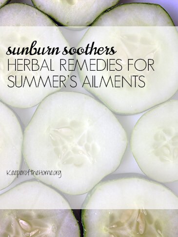 Sunburn Soothers: Herbal Remedies for Summer's Ailments