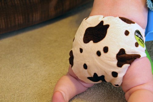 Affording Cloth Diapers on a Low Income