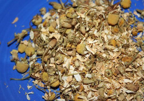 loose chamomile herb