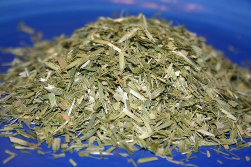 oatstraw herb on plate